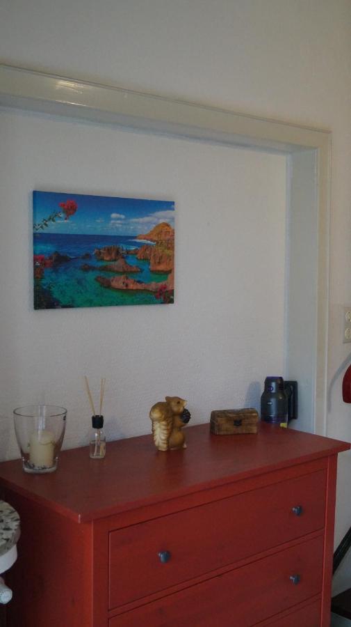 Ferienwohnung Frankenhaeuser 슈베르테 외부 사진